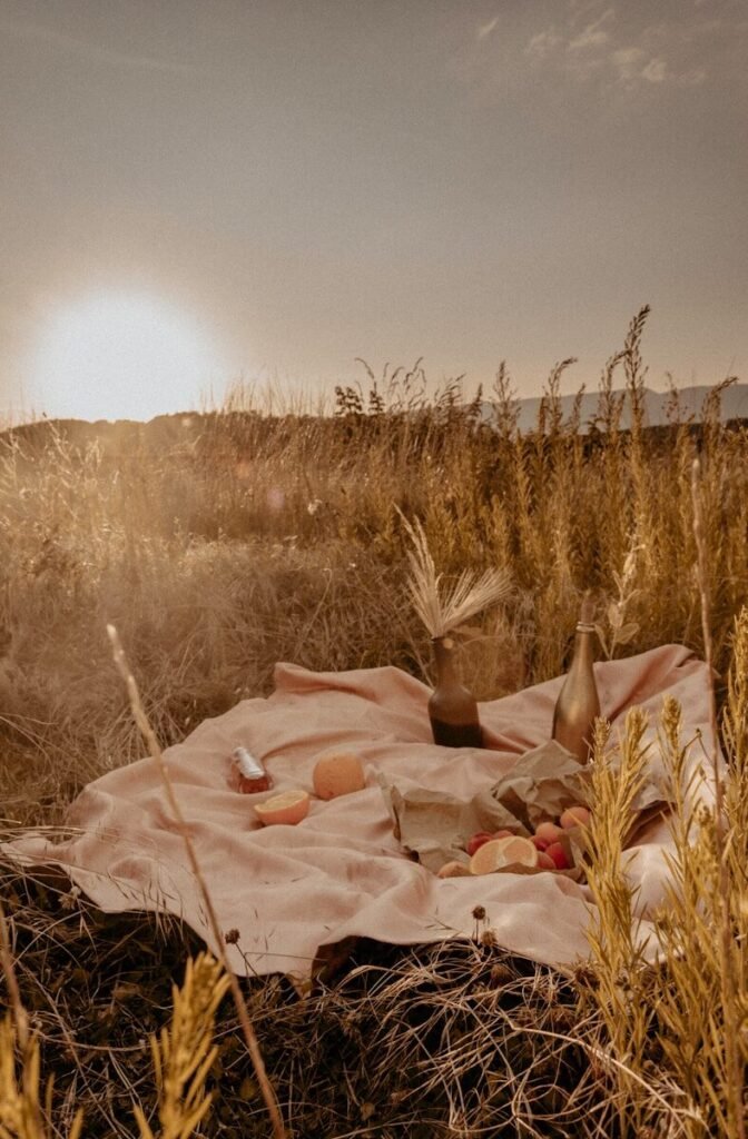 brown dried grass on brown field during daytime