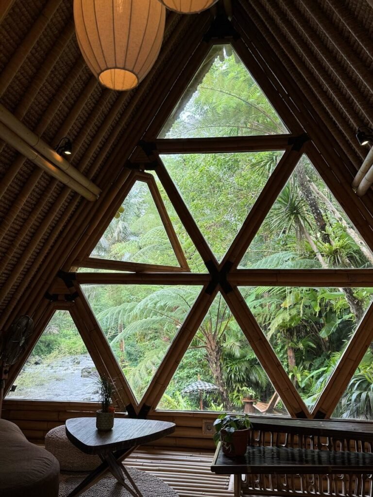 Triangular window view of lush green forest foliage.